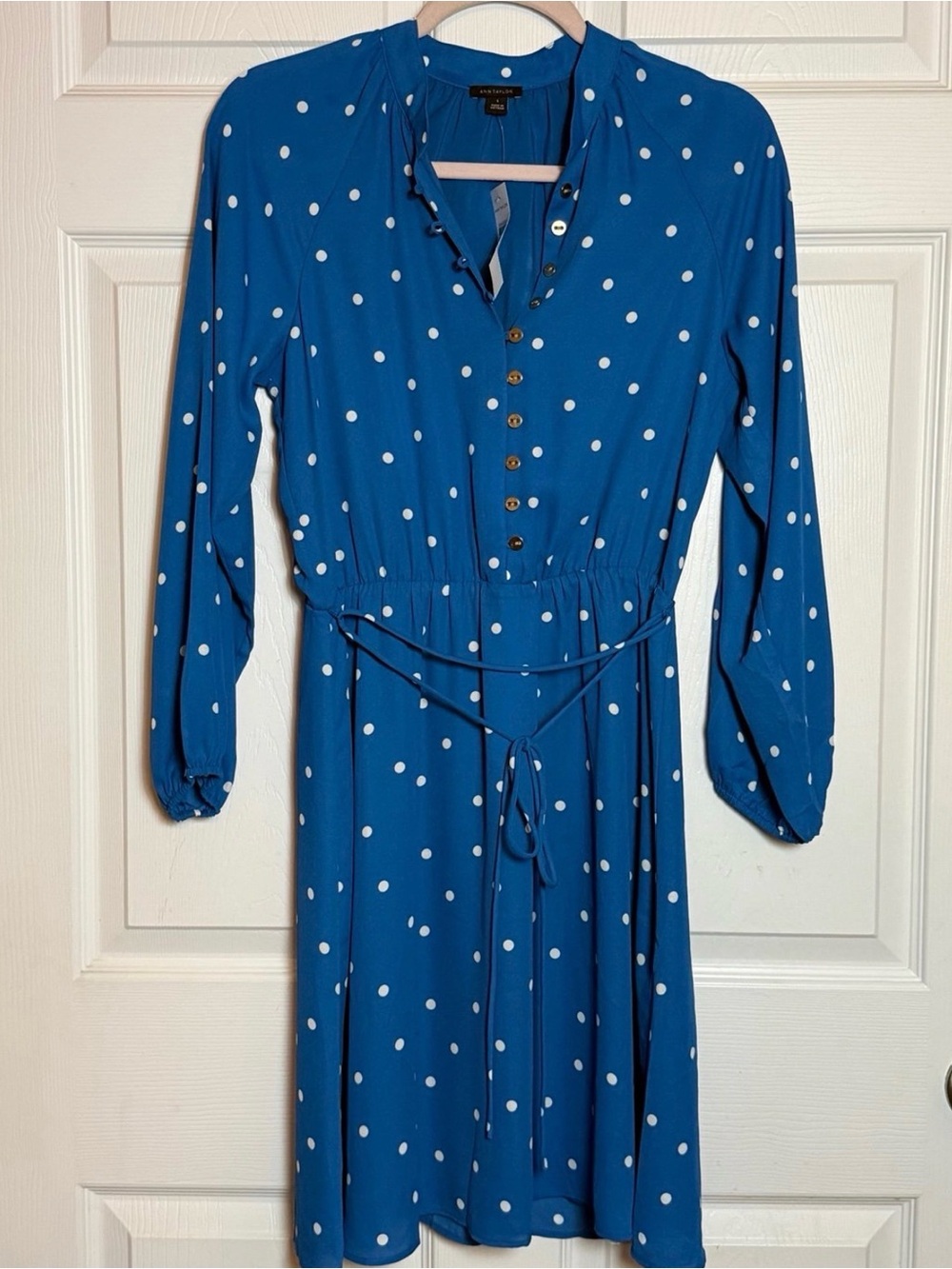 NWT Ann Taylor Blue Polka Dot Long Sleeve Dress